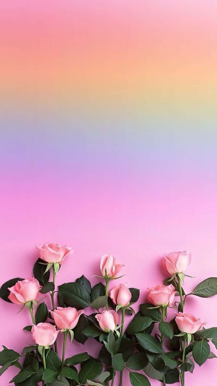 Caption: Vibrant Rainbow Flower For Iphone Wallpaper Background