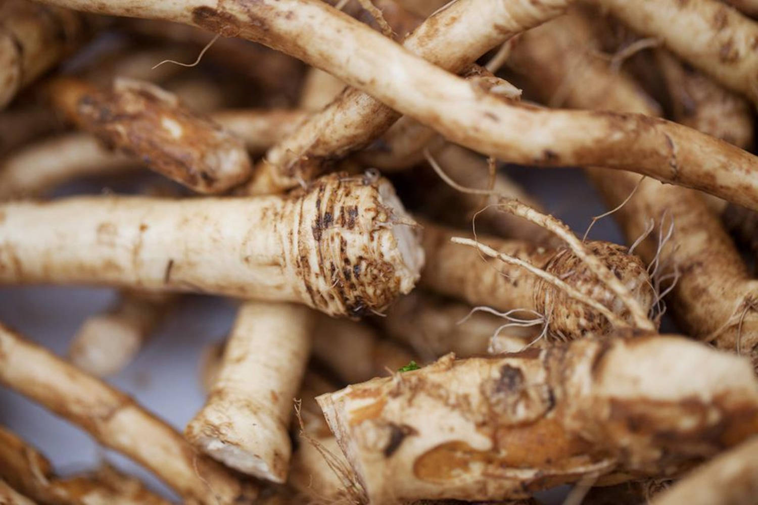 Caption: Vibrantly Fresh Horseradish With Distinct Root Hairs Background