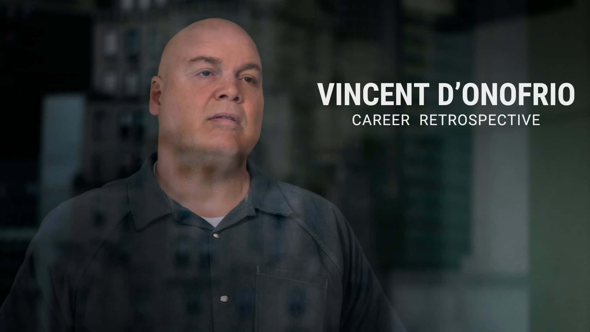Caption: Vincent D'onofrio Portrait
