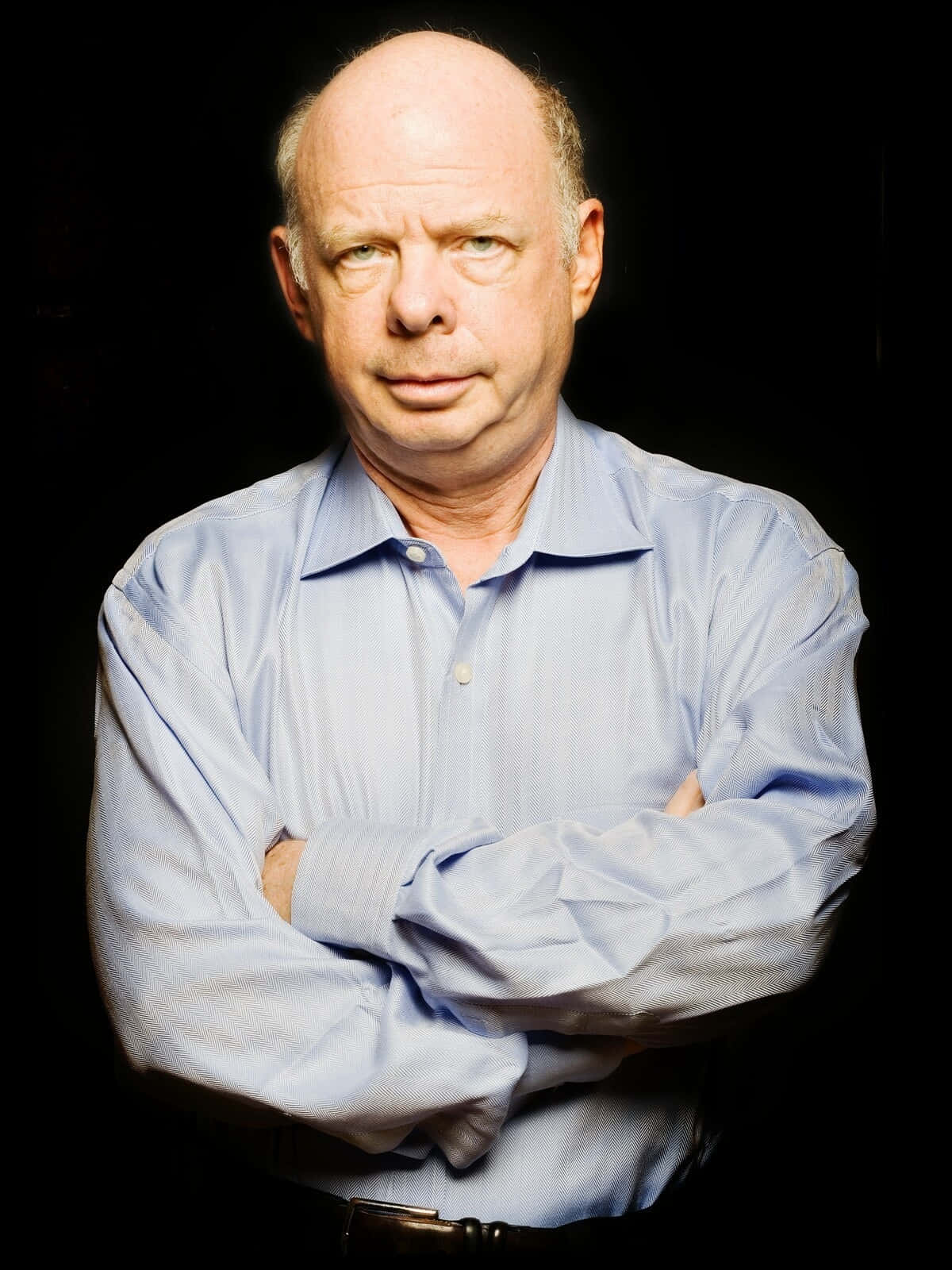 Caption: Wallace Shawn, Renowned Actor And Playwright, Posing For A Photoshoot. Background