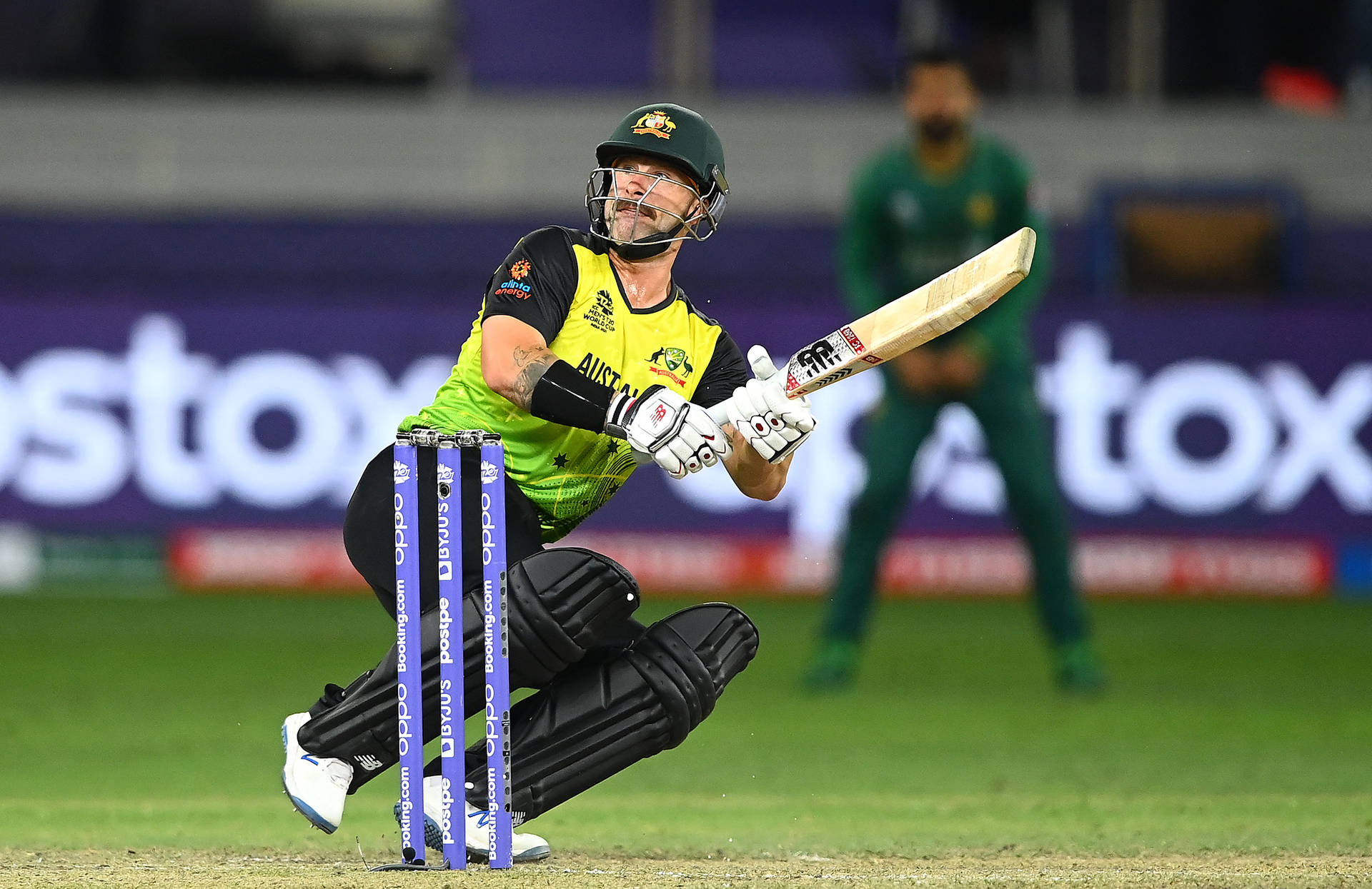 Captivating Action Shot Of Australia Cricket Player, Matthew Wade Background