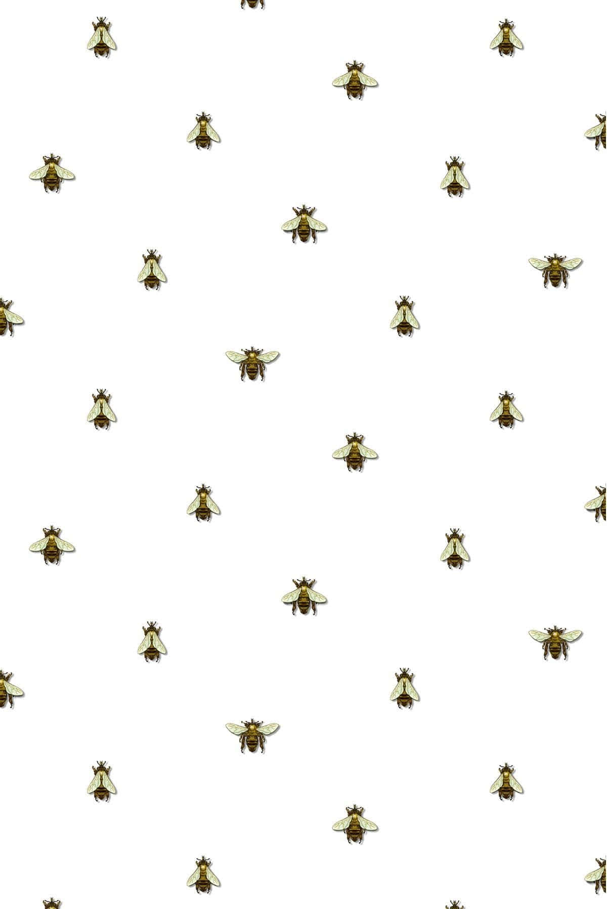 Captivating Aesthetic Bee Wallpaper Background