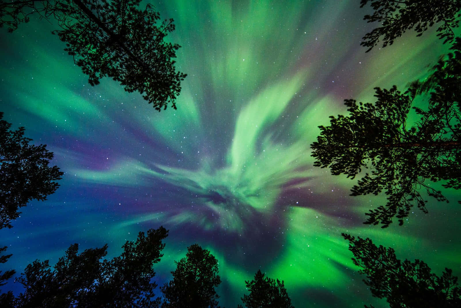 Captivating Aurora Borealis Dancing Across The Night Sky