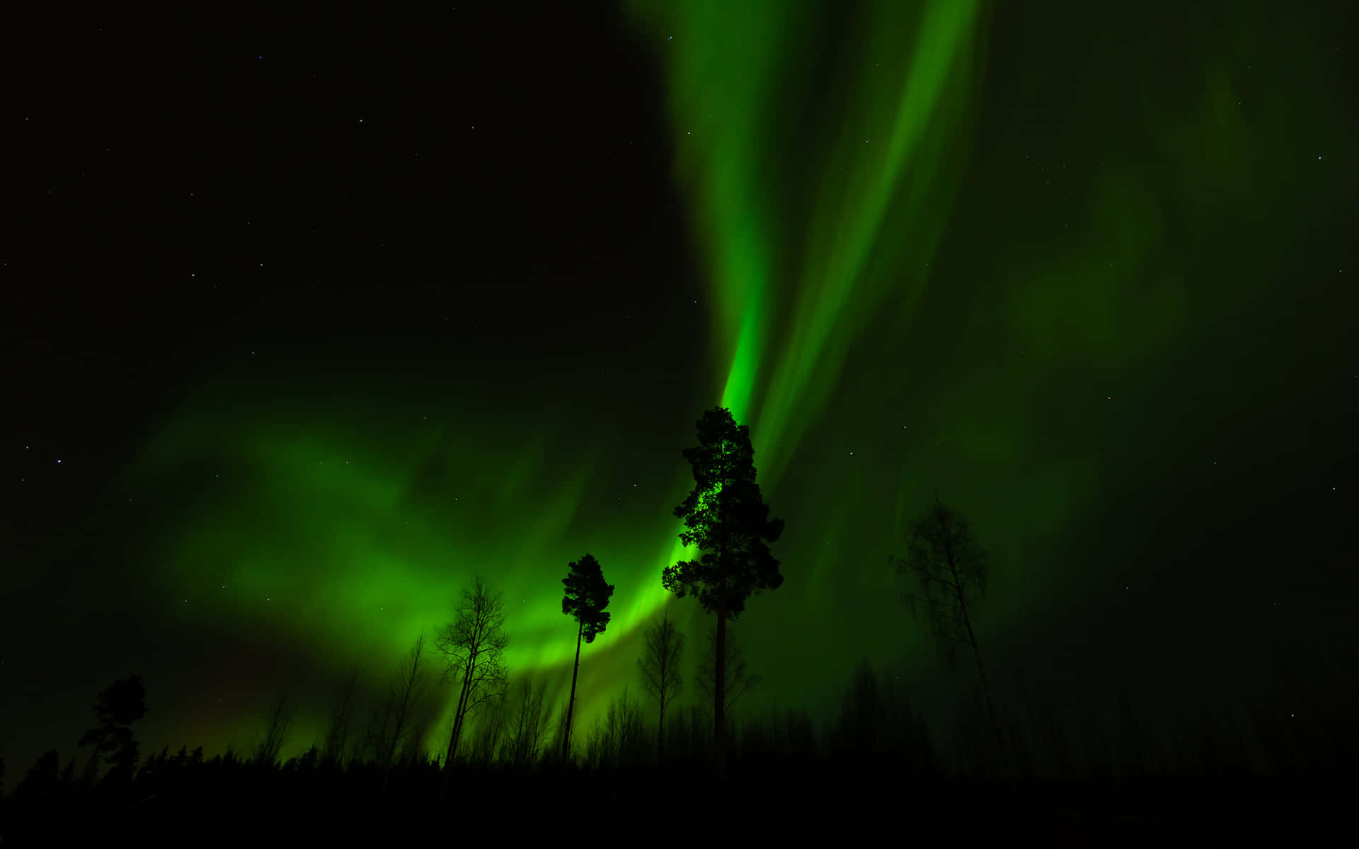 Captivating Aurora Borealis Display