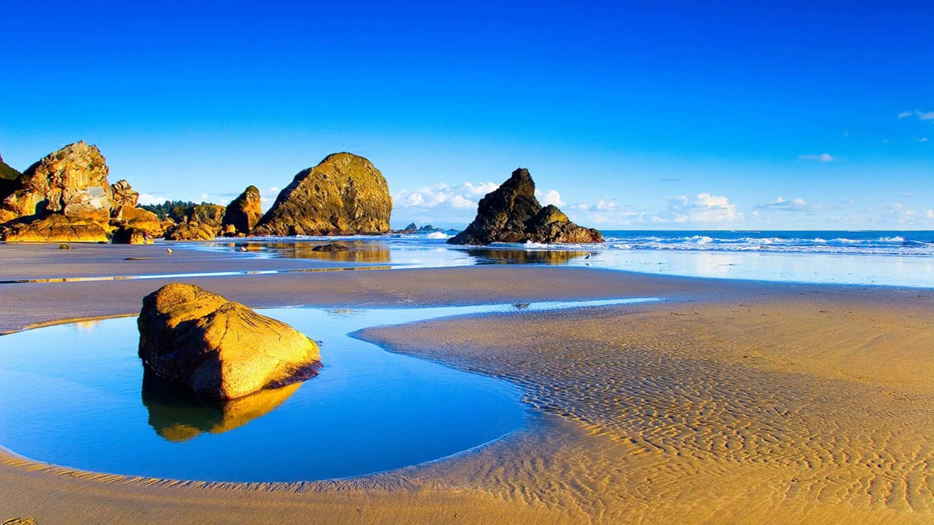 Captivating Beach Panorama Background