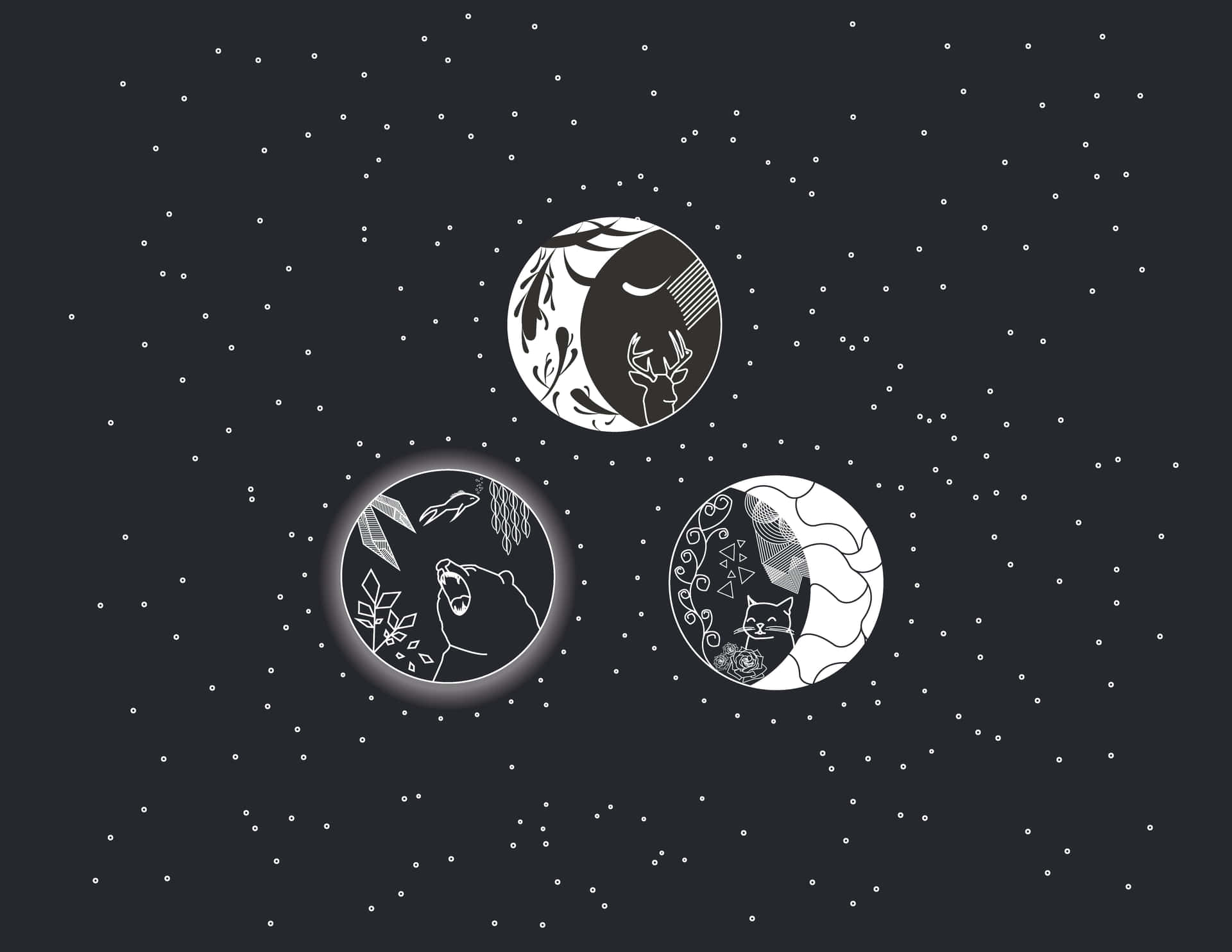 Captivating Black And White Star Background