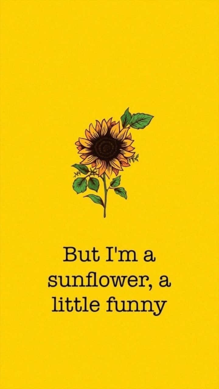 Captivating Black Sunflower In Graphic Design Background