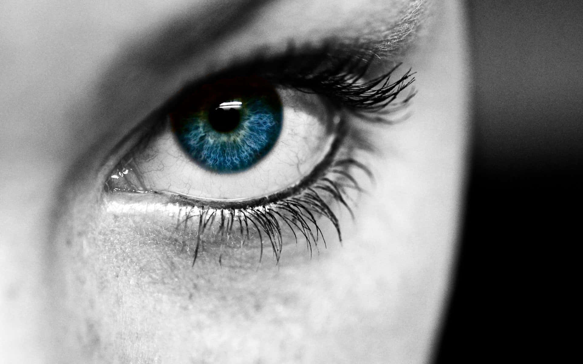 Captivating Blue Eye Closeup Background