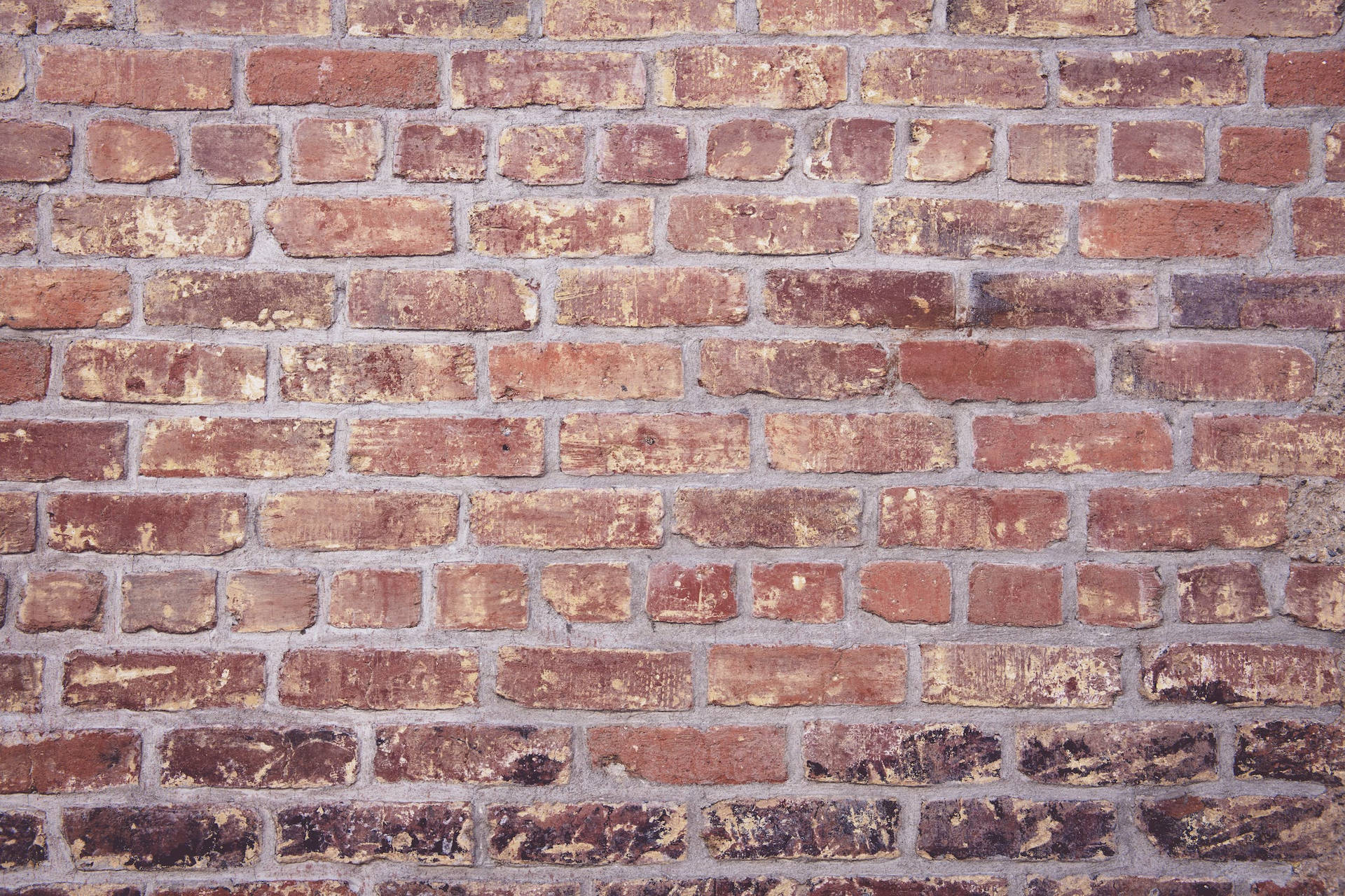 Captivating Brown Concrete Texture Background