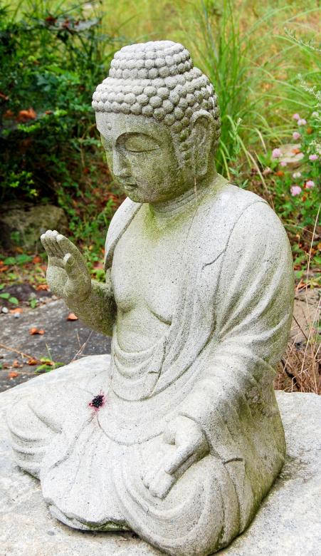 Captivating Buddha Hd Image Background