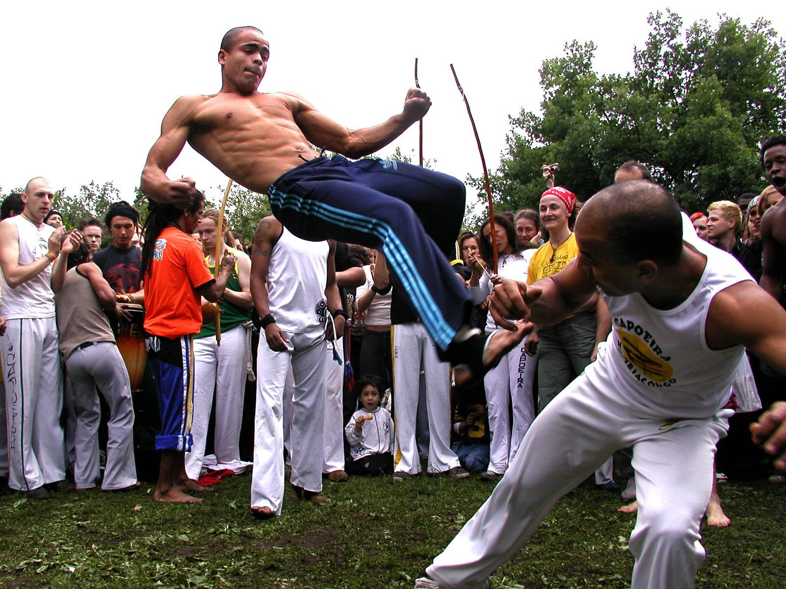 Captivating Capoeira Performance In The Park Background