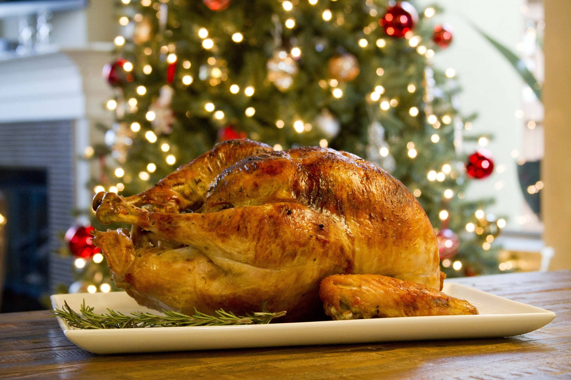 Captivating Christmas Turkey Background