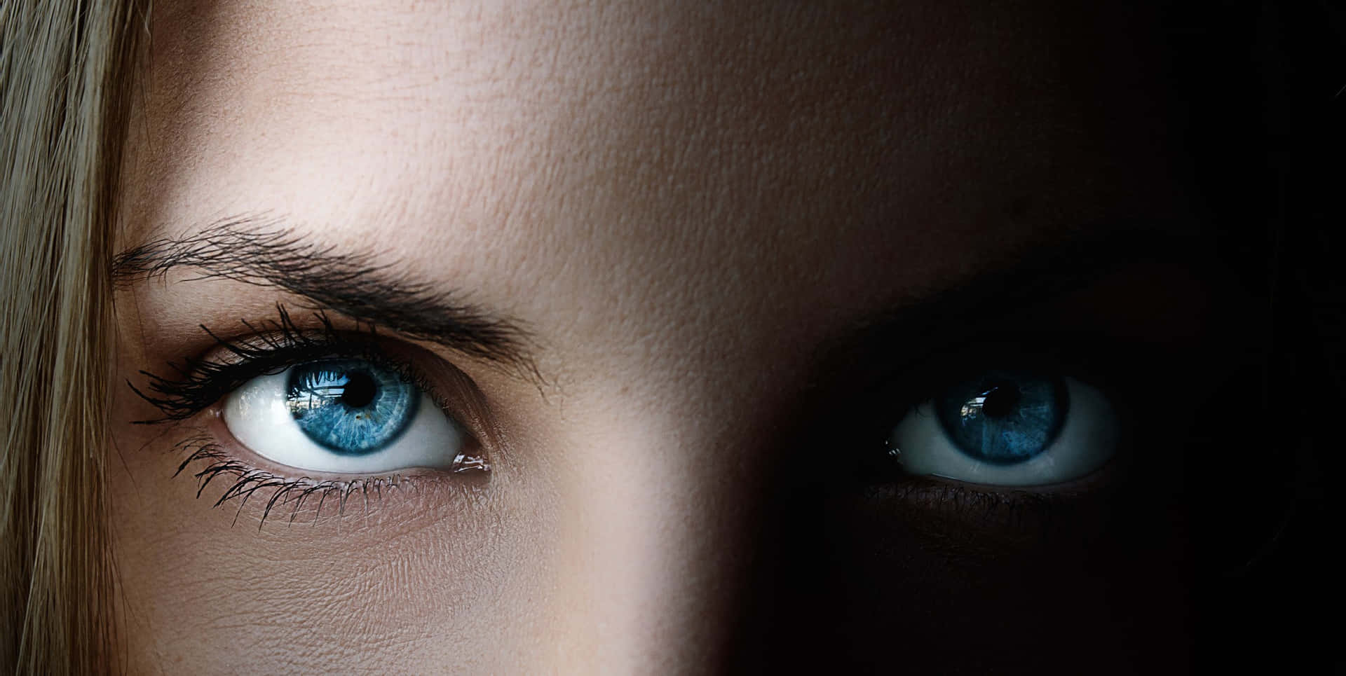 Captivating Closeup Of Woman's Blue Eye