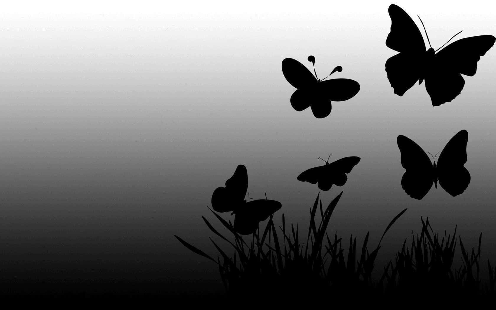 Captivating Dark Butterfly Background
