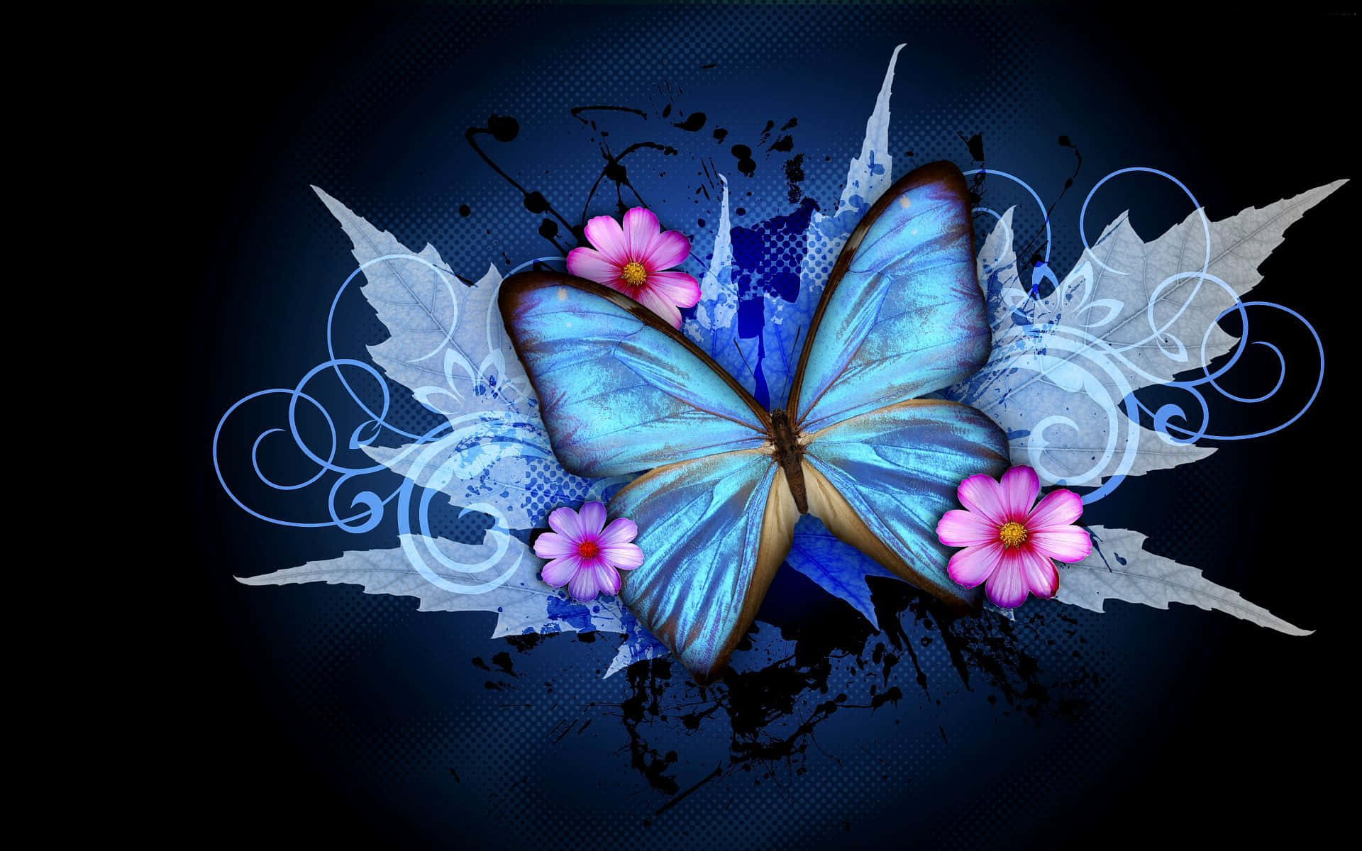 Captivating Dark Butterfly On An Enchanting Night Background