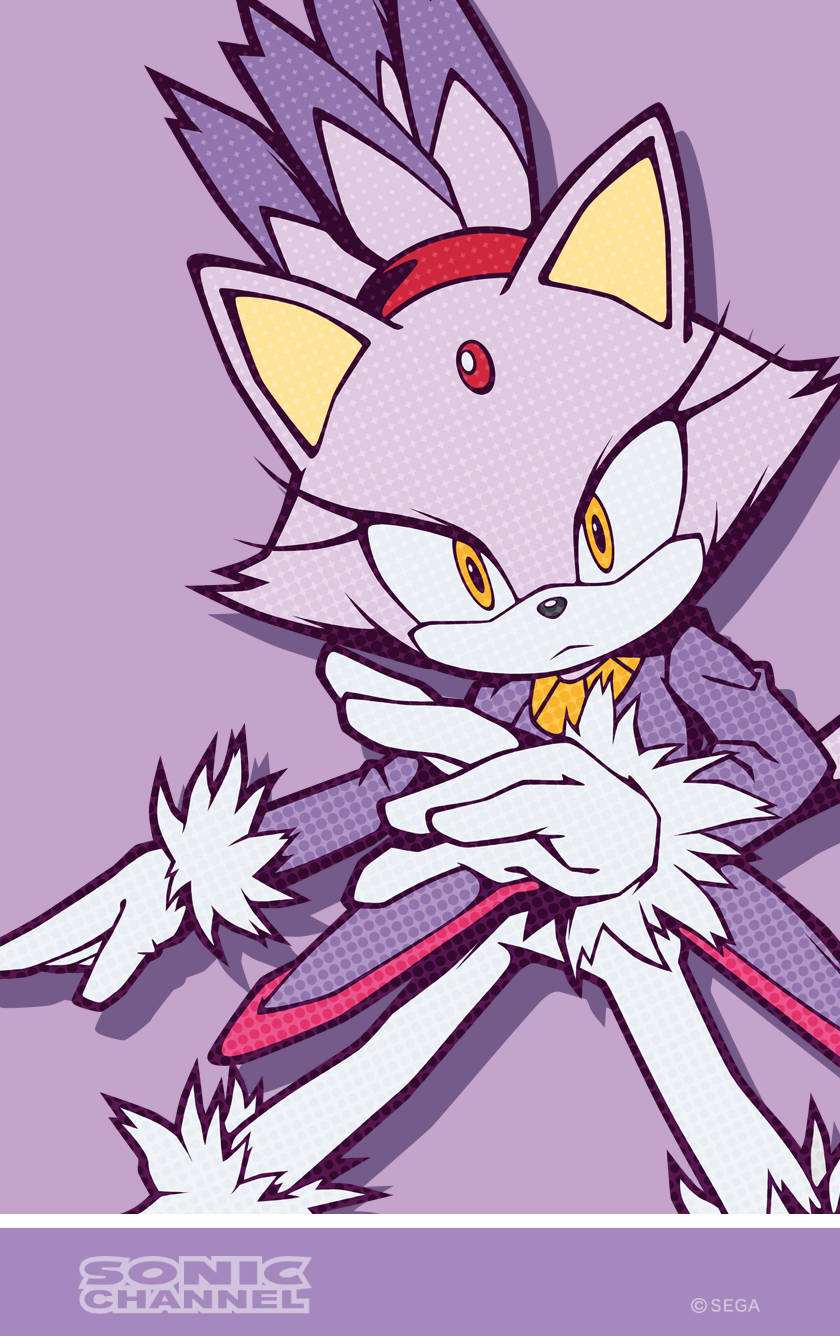 Captivating Image Of Blaze The Cat In Action Background