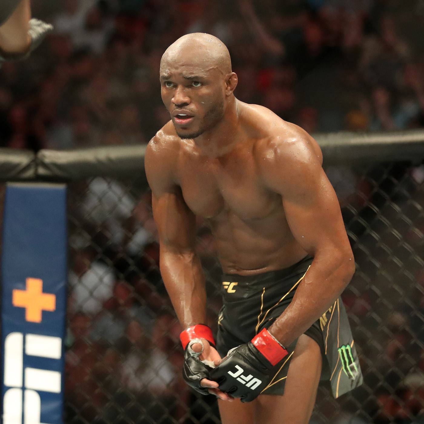 Captivating Image Of Mma Champion Kamaru Usman Background