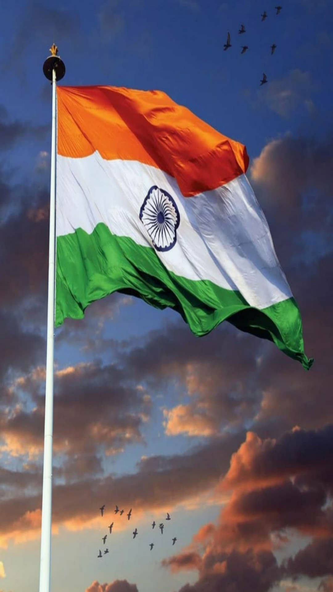 Captivating Indian Flag Mobile Background