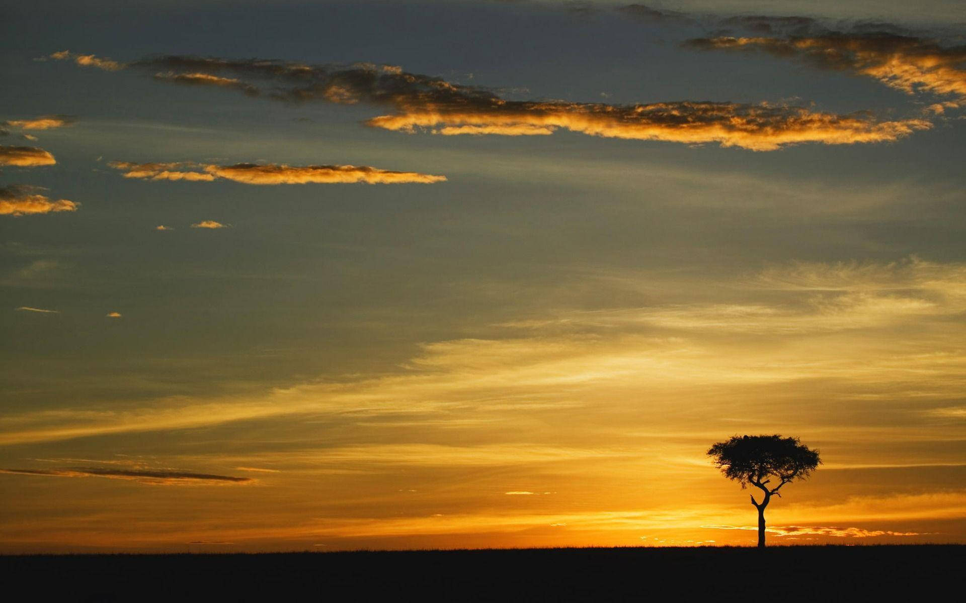 Captivating Kenyan Safari Park Background