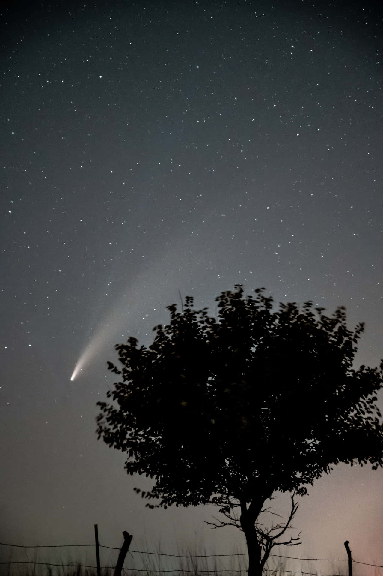 Captivating Meteor Shower In The Night Sky Background