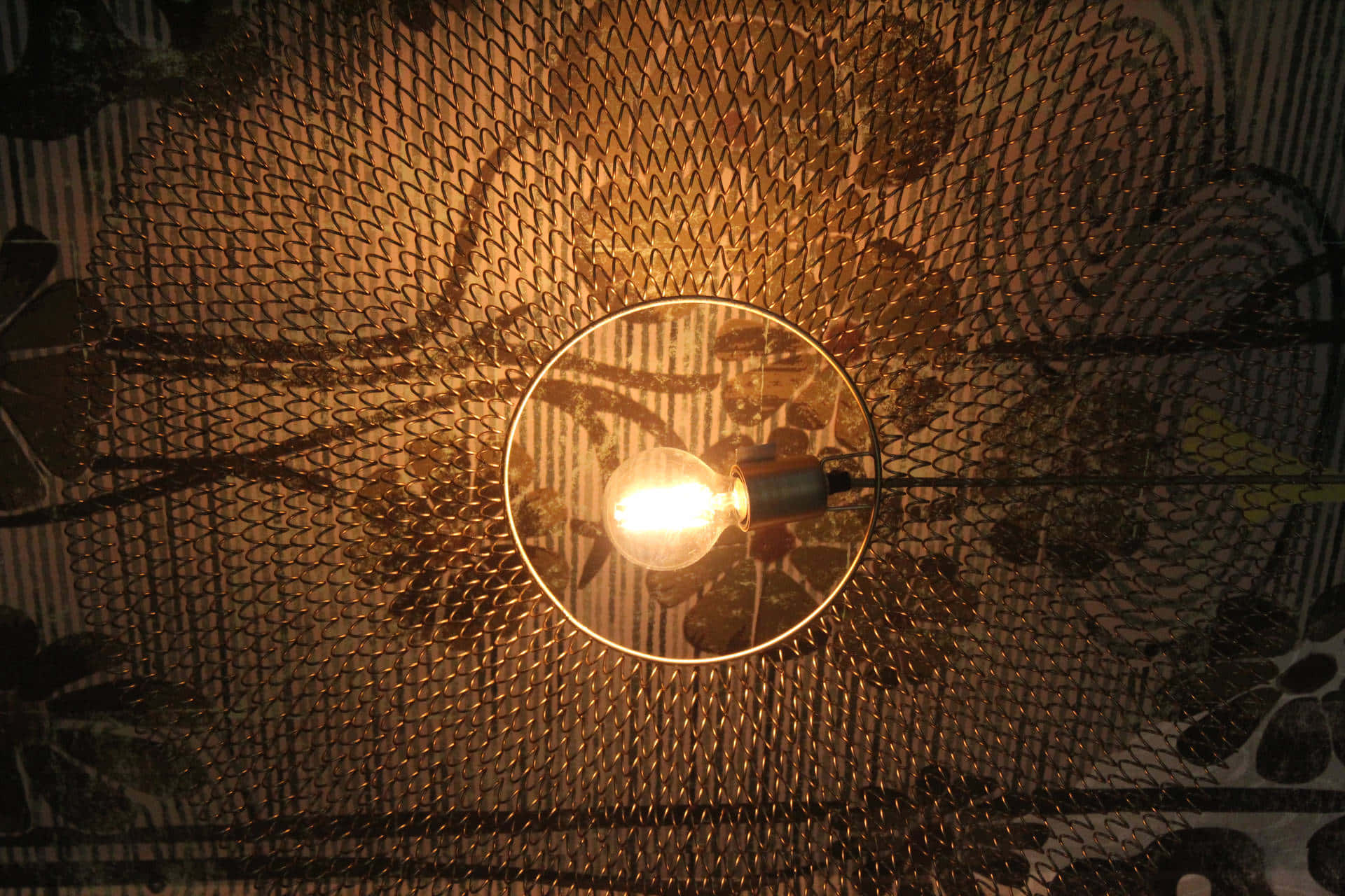 Captivating Modern Pendant Light