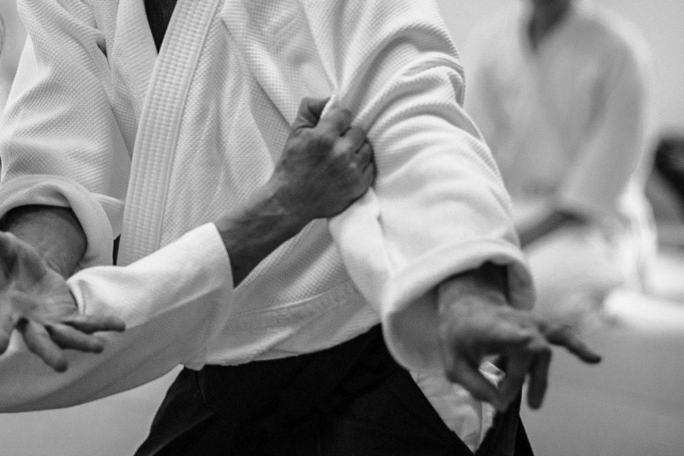 Captivating Monochrome Aikido Action Background