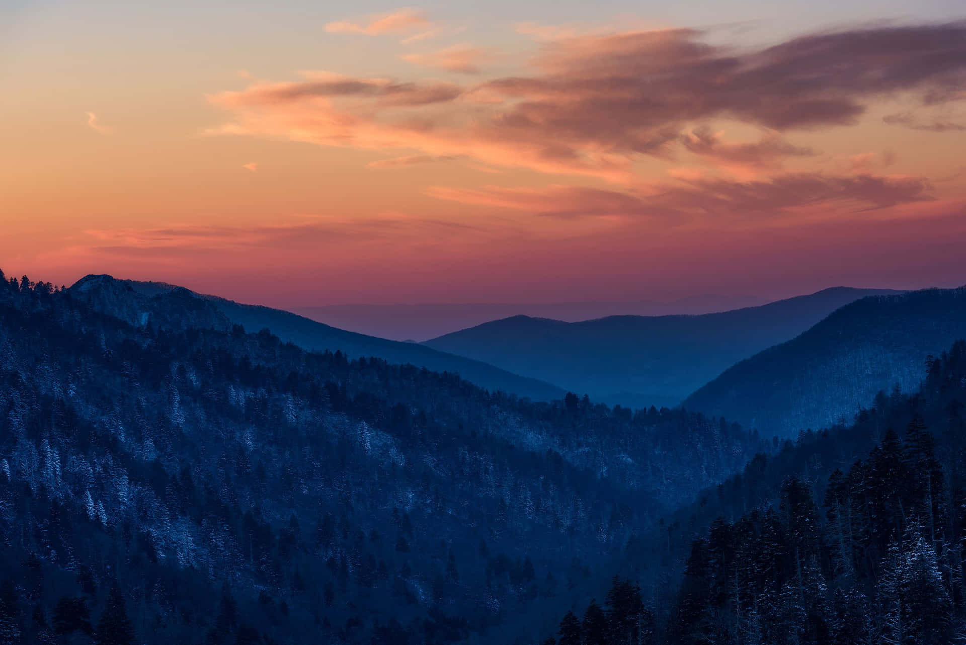 Captivating Morning Mist Over Great Smoky Mountains National Park Background