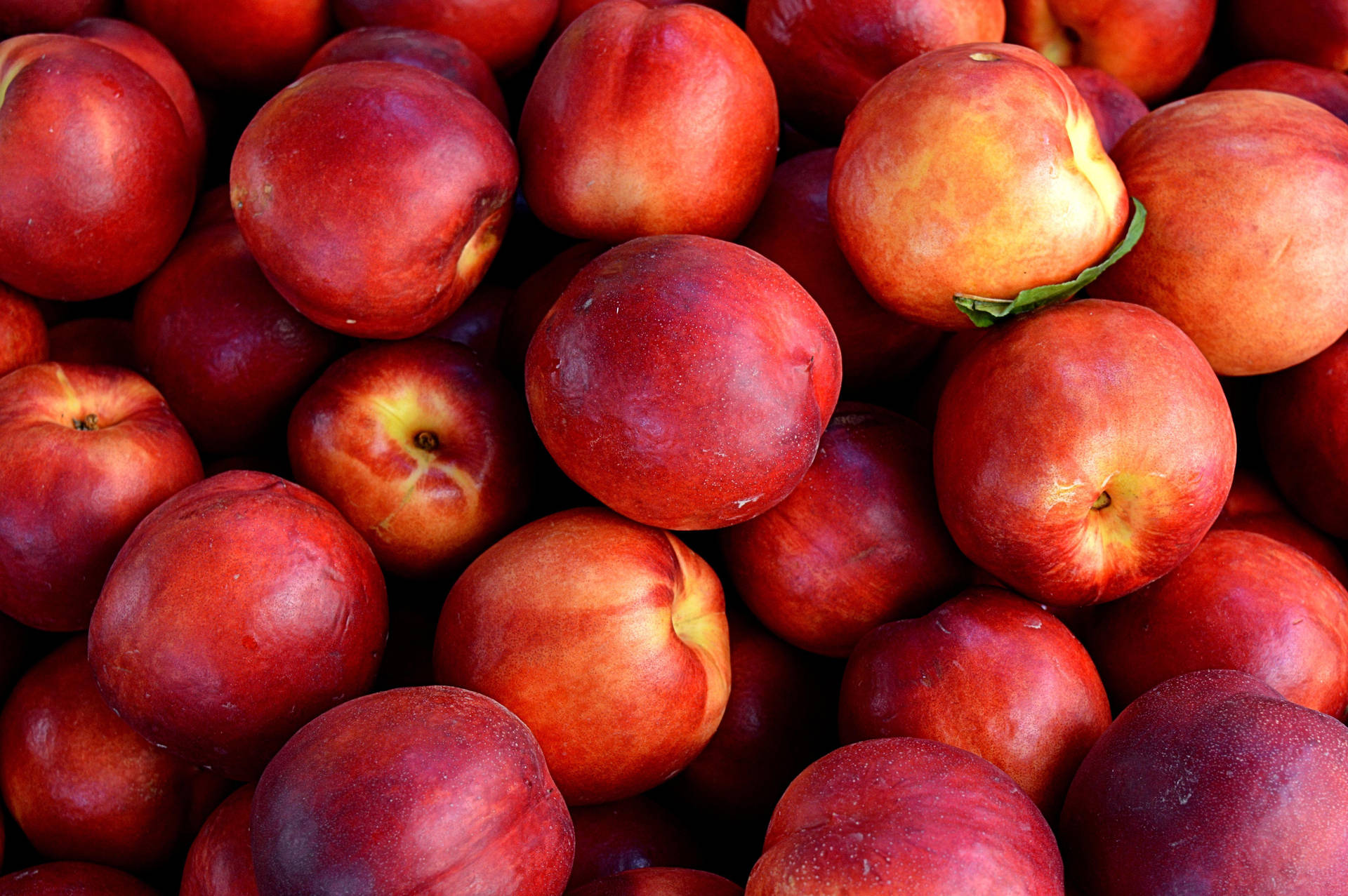 Captivating Nectarine Close-up