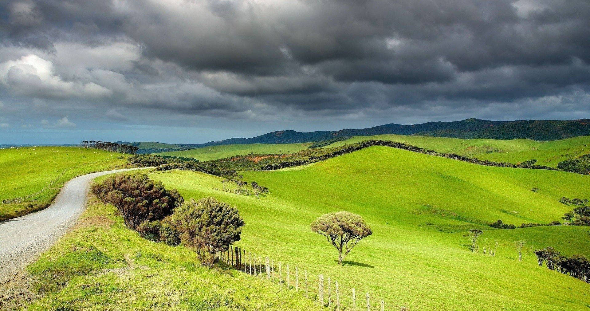 Captivating New Zealand Landscape