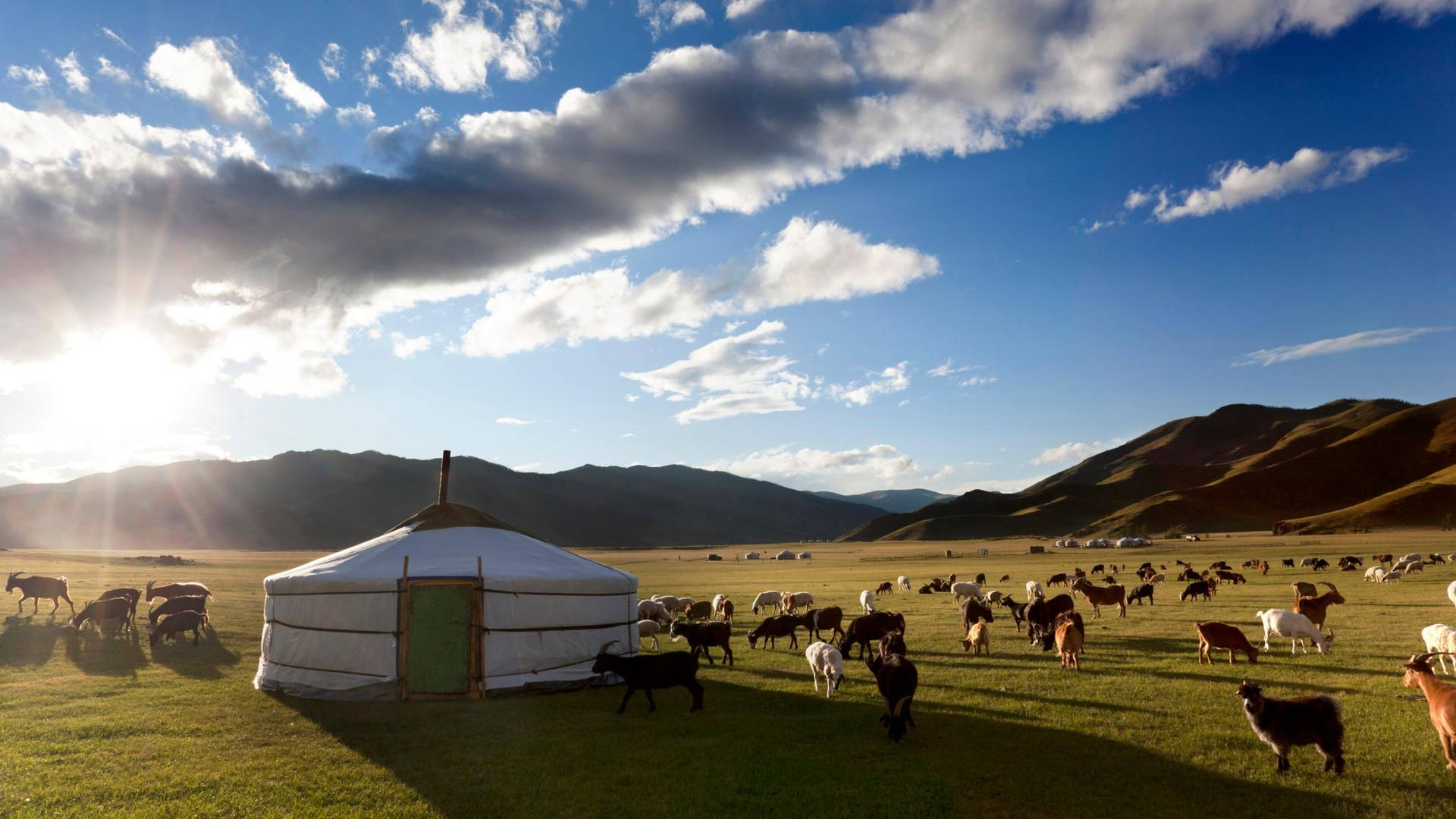 Captivating Nomadic Lifestyle Of Mongolia Background