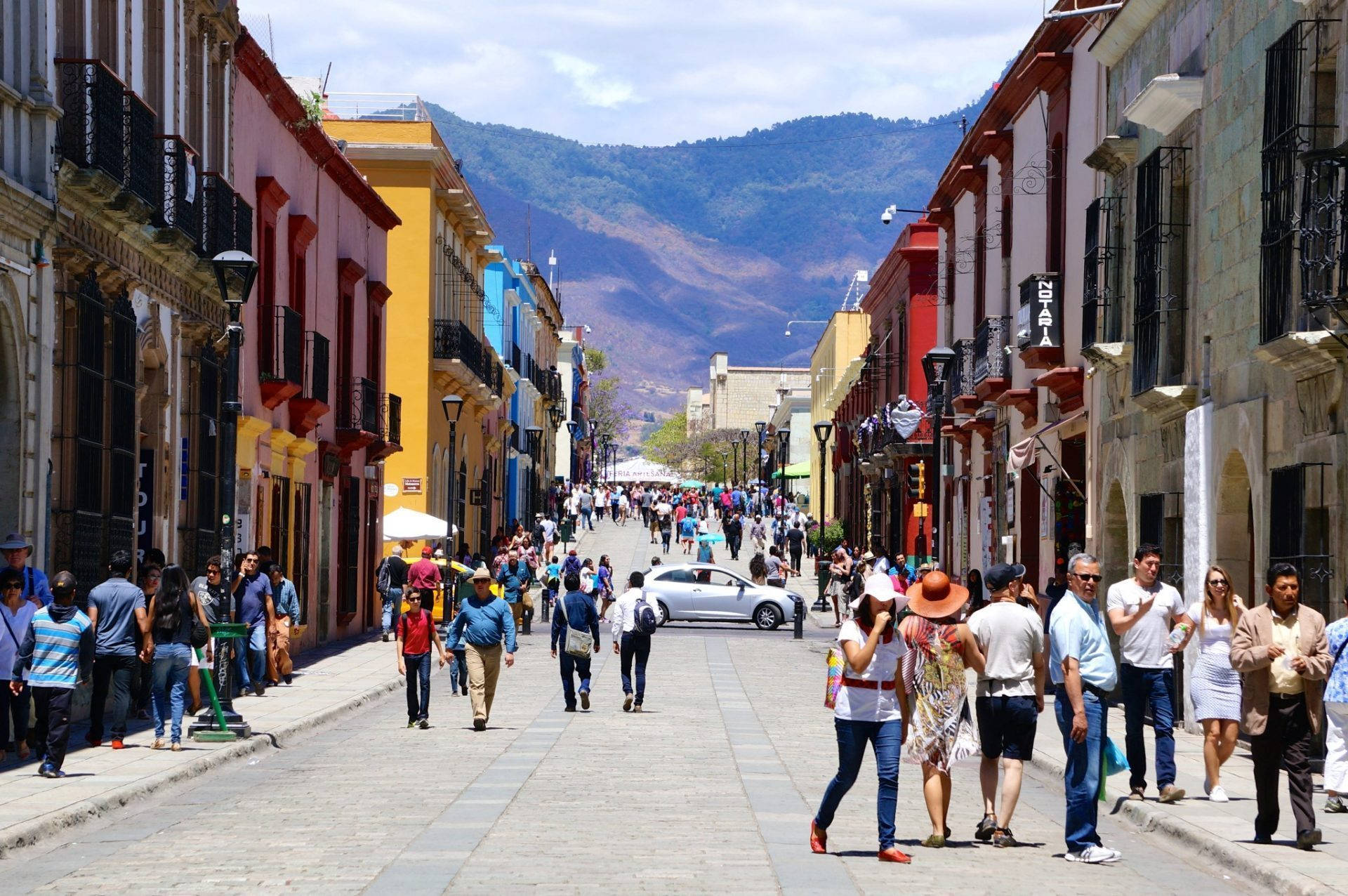 Captivating Oaxaca Tourist Area