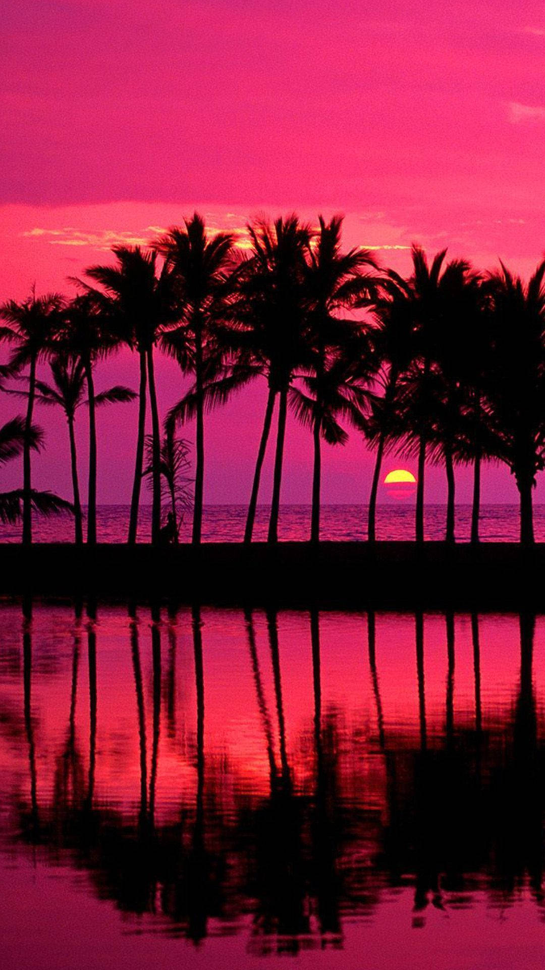 Captivating Pink Sunset Amidst Palm Trees Background