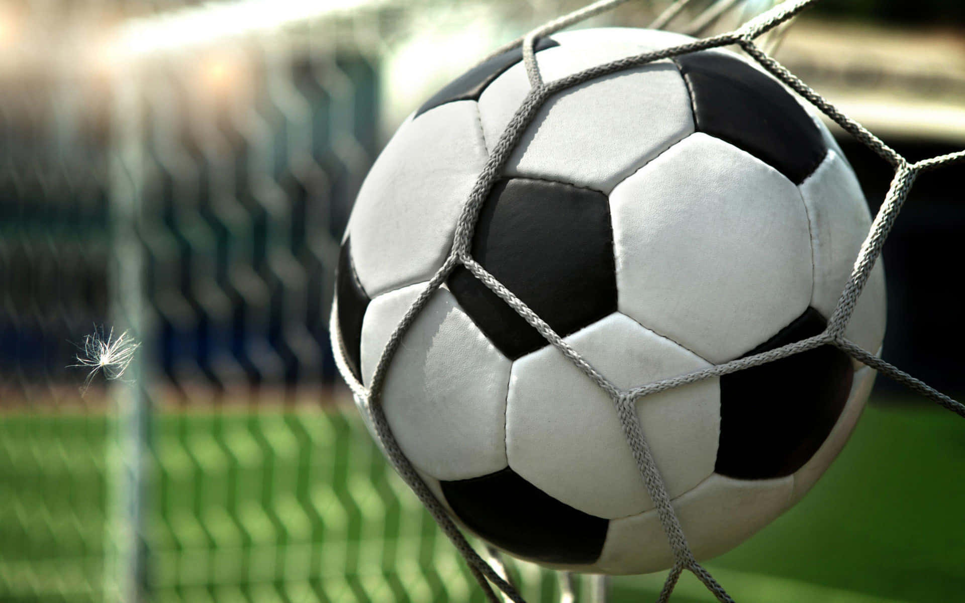 Captivating Portrait Of A Soccer Ball