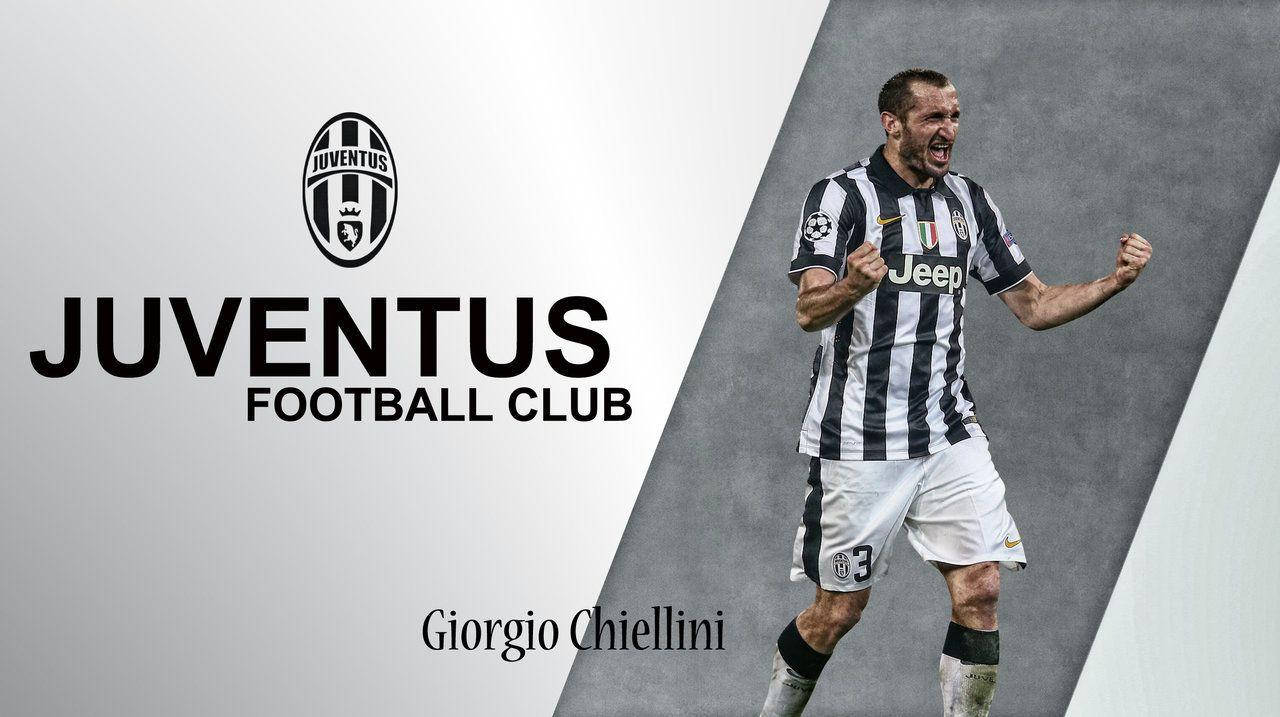 Captivating Portrait Of Giorgio Chiellini Background