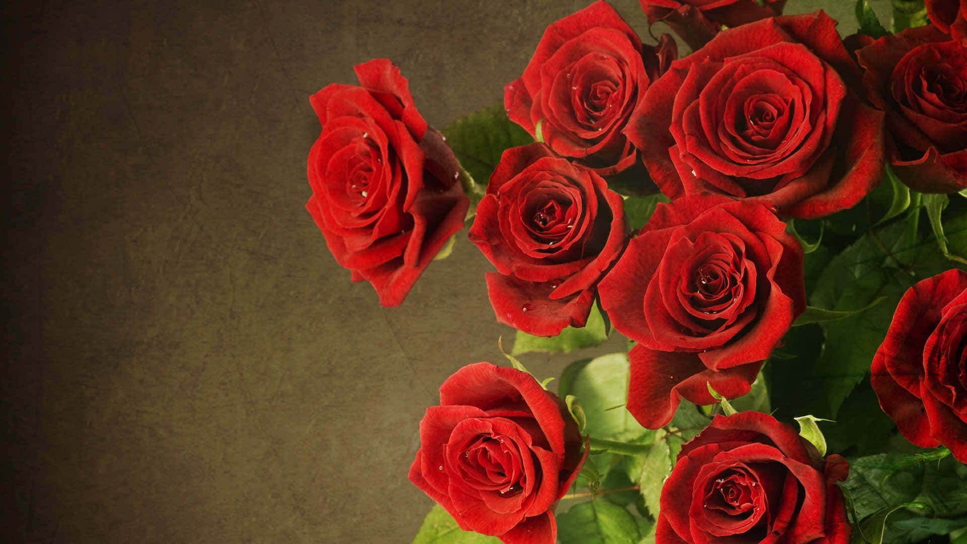 Captivating Red Rose Bouquet Background