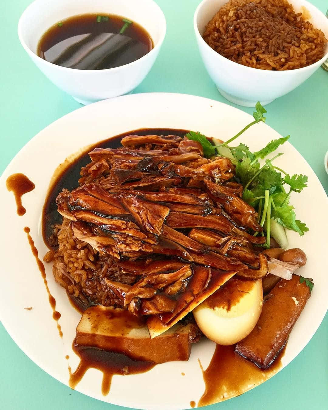 Captivating Savory Duck Rice With Overloaded Sauce Background