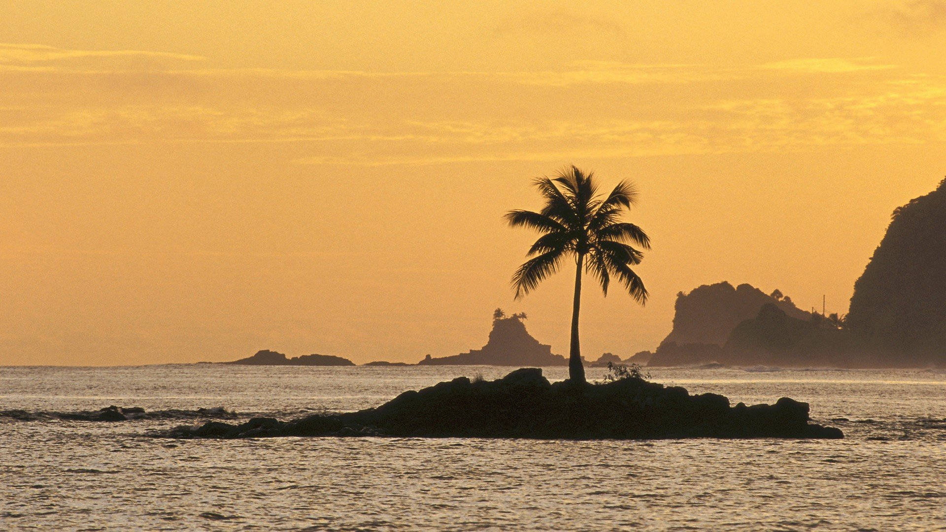 Captivating Silhouette Of A Lone Coconut Tree On An Island Background