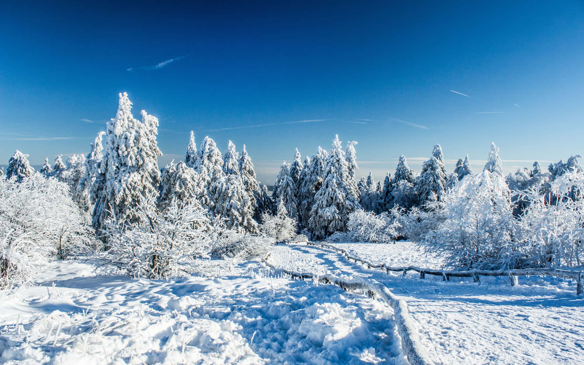 Captivating Snowfall In A Winter Wonderland Background