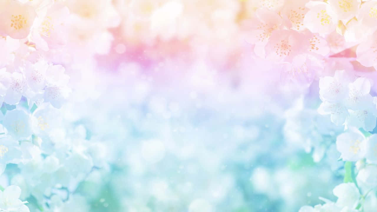 Captivating Sunset Over Calm Ocean Background