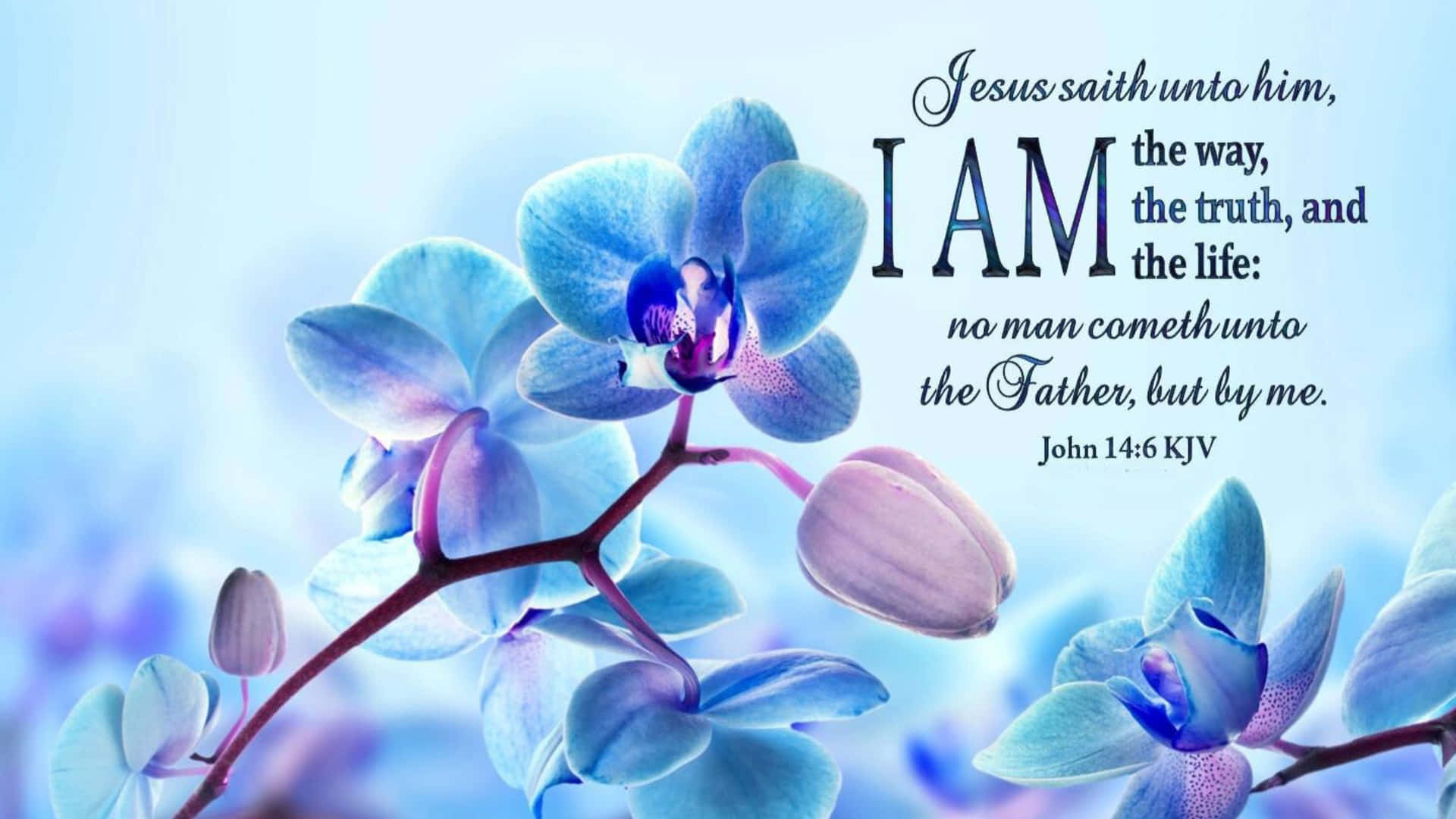 Captivating Sunset With Bible Verse