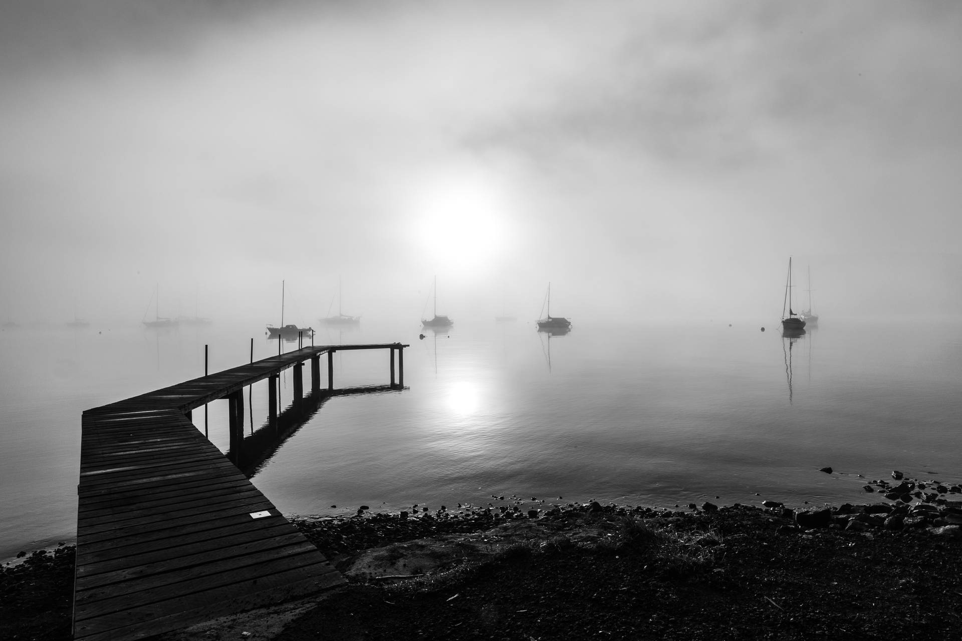 Captivating Tasmania Boardwalk Boats Scene Background