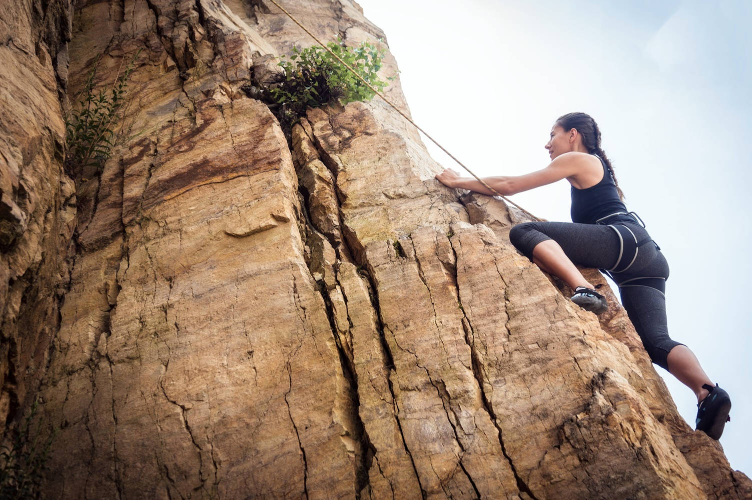 Captivating Vertical Crawl Sport Climbing Background