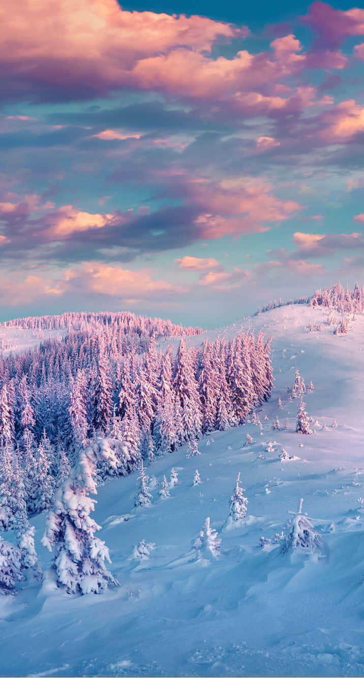 Captivating View Of A Snow Filled Winter Wonderland