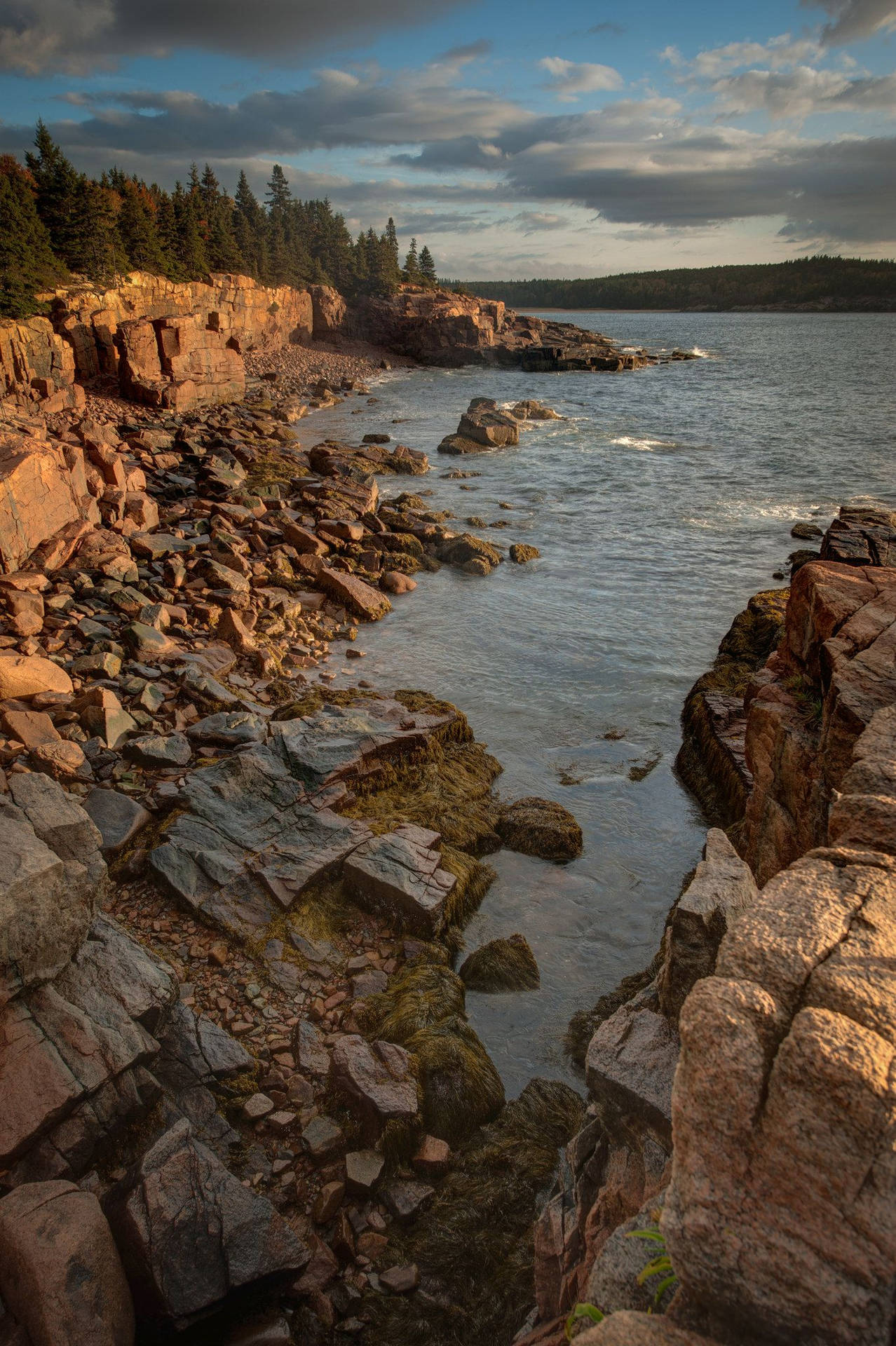 Captivating View Of Rocky Cliffs At Acadia National Park