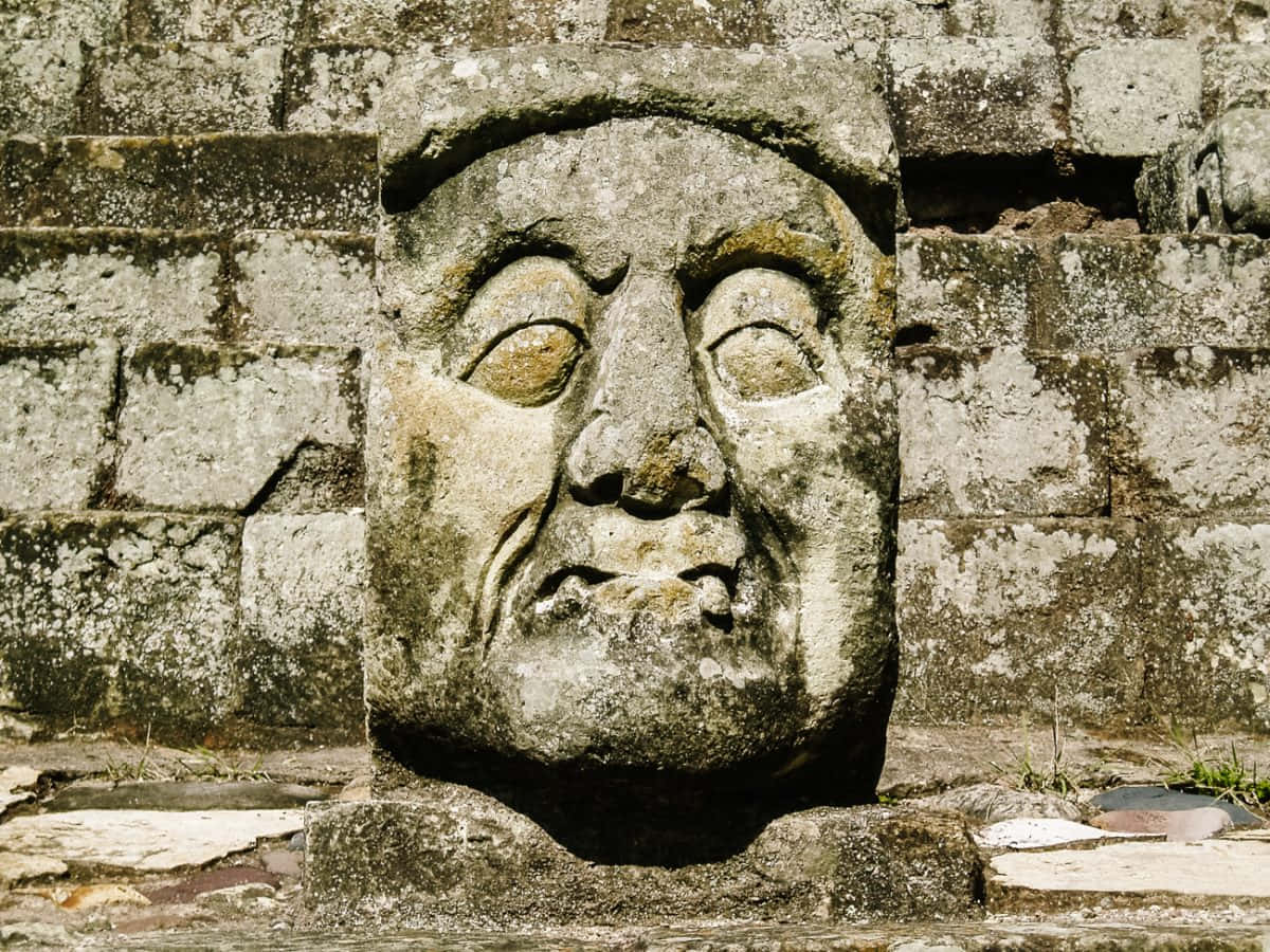 Captivating View Of The Magnificent Mayan Ruins Of Copan Background