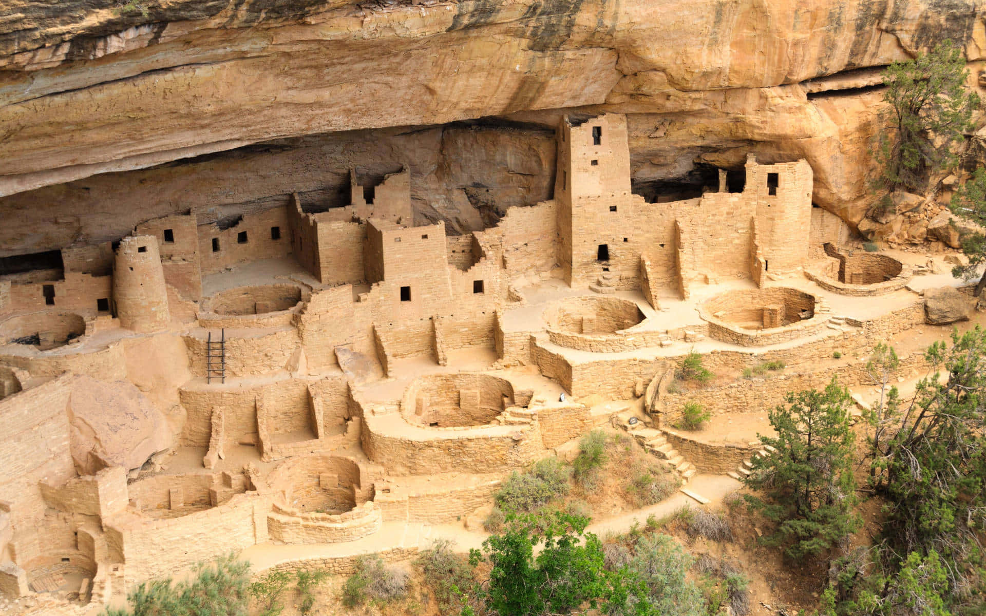 Captivating View Of The Puebloan Cliff Palace In Mesa Verde National Park. Background