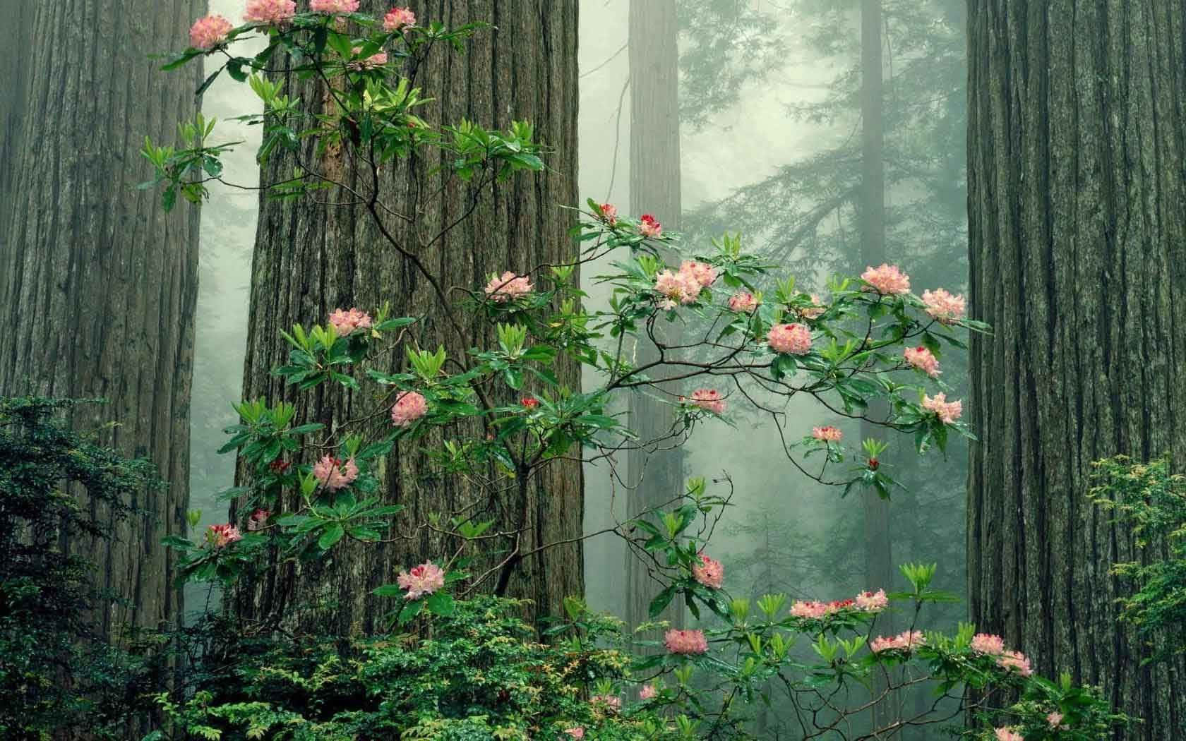 Captivating Vintage Aesthetic Plant Background
