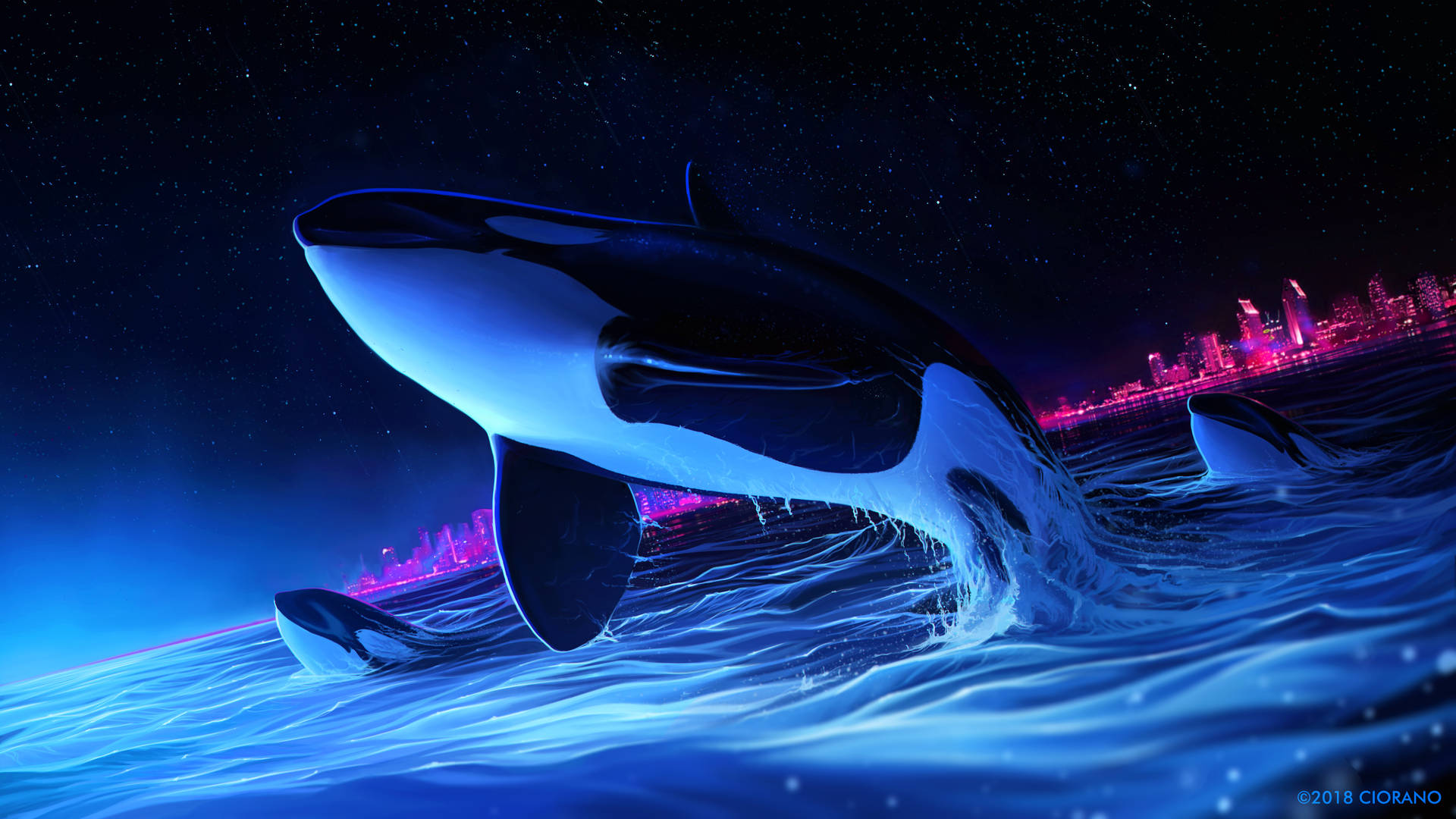 Captivating Whale Leaping Dark 4k Background