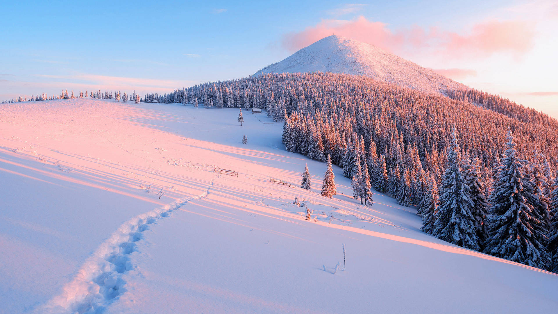 Captivating Winter Eruption