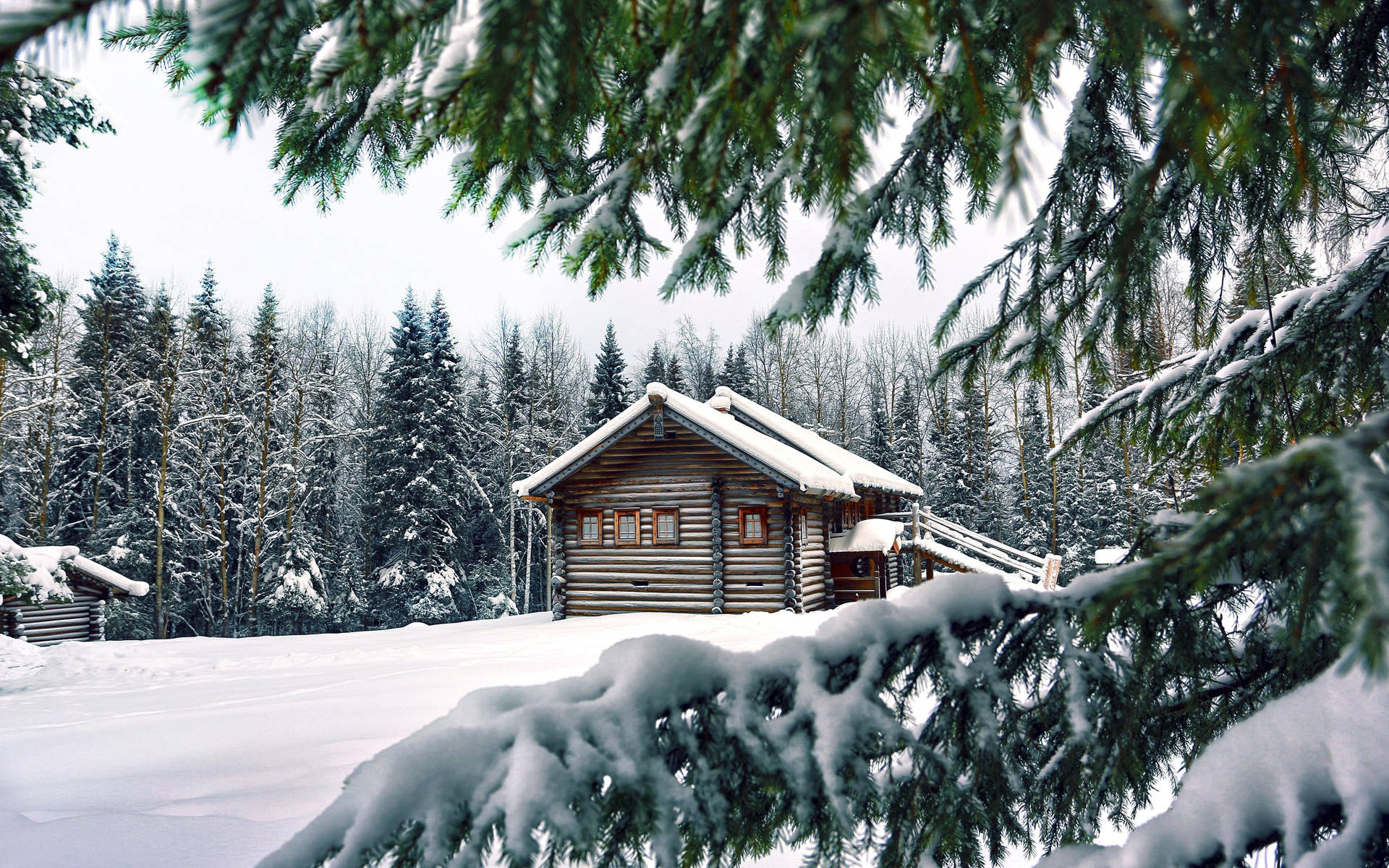 Captivating Winter Wonderland Iphone Background Background